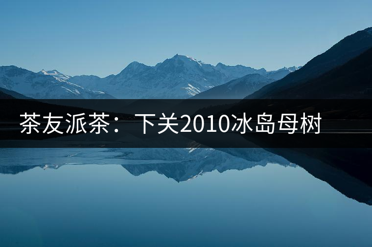 茶友派茶：下關(guān)2010冰島母樹，挺甜的，母樹是個什么概念？