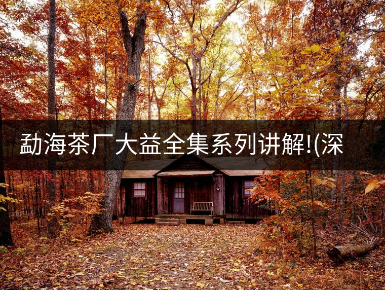 勐海茶廠大益全集系列講解!(深度講解大益茶品，建議收藏...勐海茶廠大益全集系列講解?。ㄉ疃戎v解大益茶品，建議收藏）