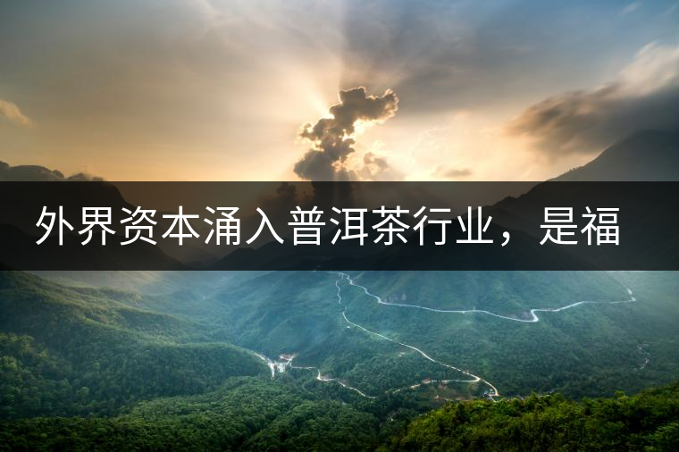 外界資本涌入普洱茶行業(yè)，是福還是禍？