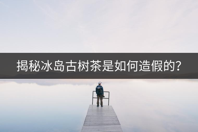 揭秘冰島古樹茶是如何造假的？