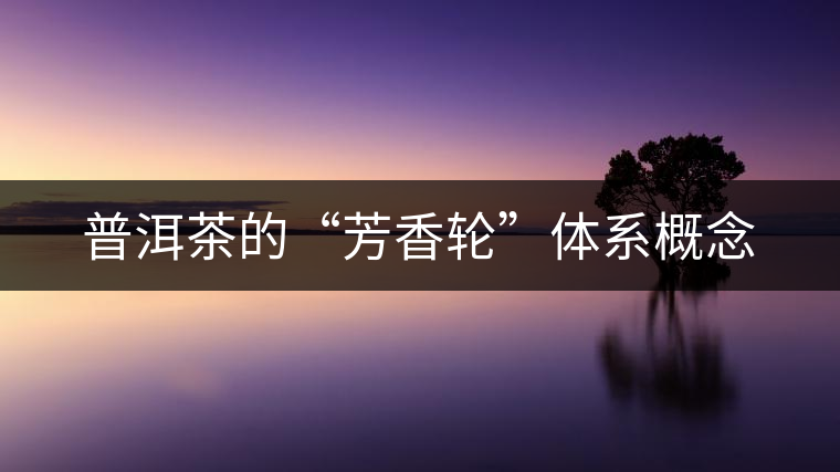 普洱茶的“芳香輪”體系概念