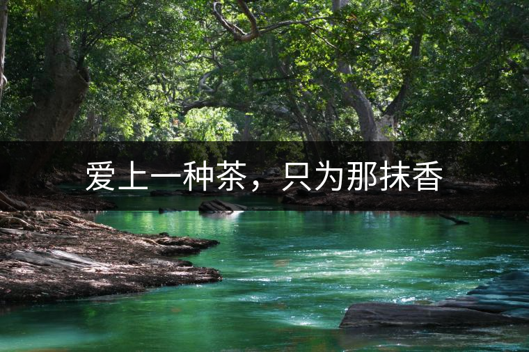 愛上一種茶，只為那抹香