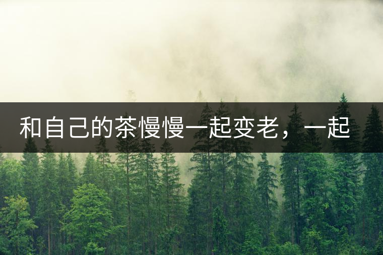 和自己的茶慢慢一起變老，一起變好