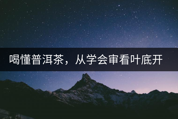 喝懂普洱茶，從學(xué)會(huì)審看葉底開(kāi)始