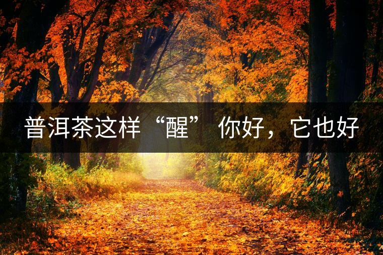 普洱茶這樣“醒” 你好，它也好