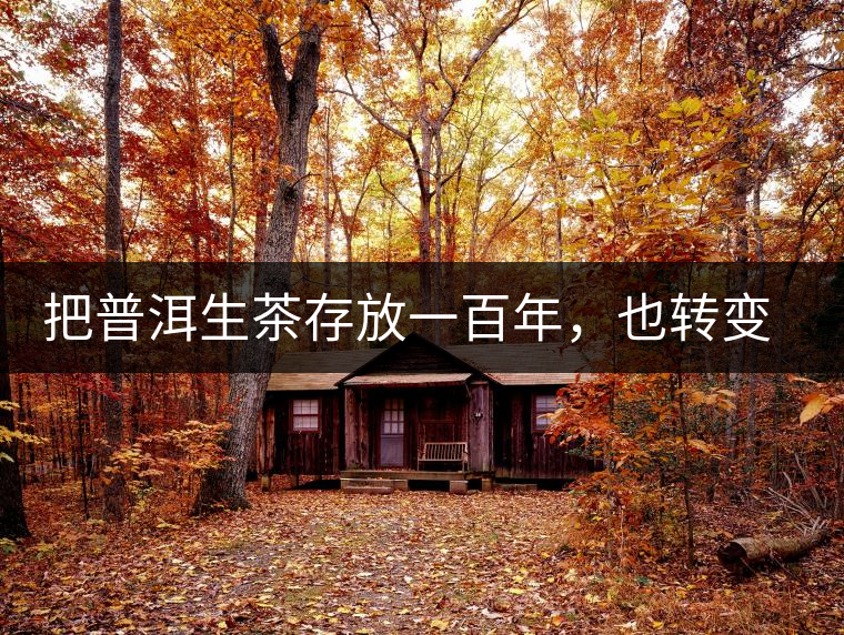 把普洱生茶存放一百年，也轉(zhuǎn)變不成熟茶