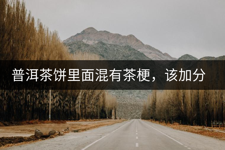 普洱茶餅里面混有茶梗，該加分還是減分？