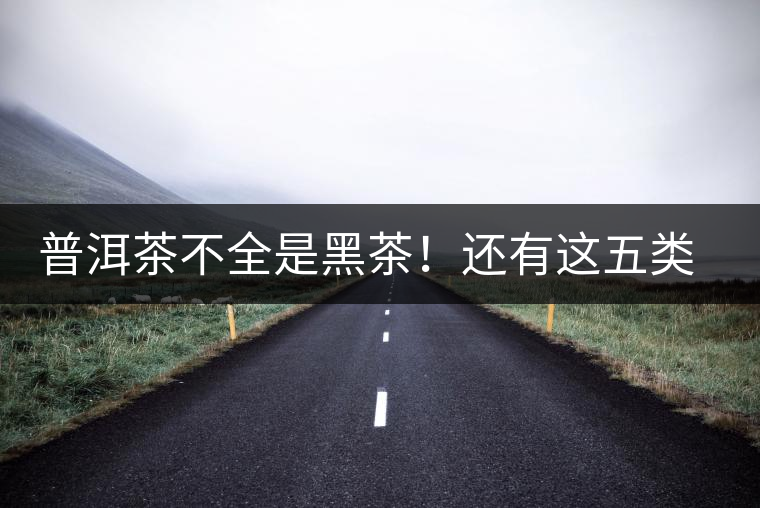 普洱茶不全是黑茶！還有這五類茶，現(xiàn)在知道還不算晚