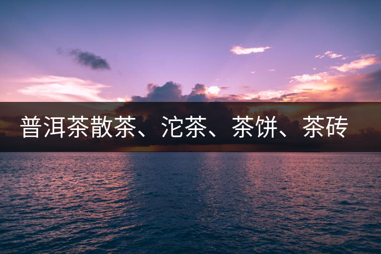 普洱茶散茶、沱茶、茶餅、茶磚哪種更好？