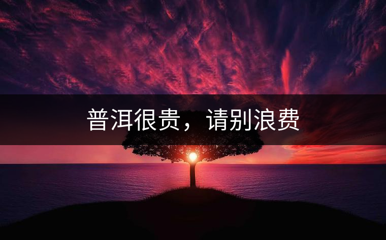 普洱很貴，請(qǐng)別浪費(fèi)