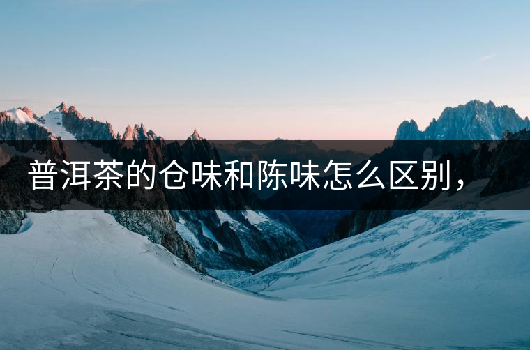 普洱茶的倉味和陳味怎么區(qū)別，如何避免？