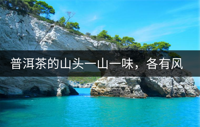 普洱茶的山頭一山一味，各有風(fēng)格