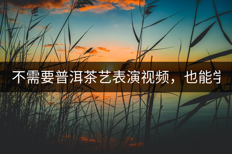 不需要普洱茶藝表演視頻，也能學(xué)會的茶藝！