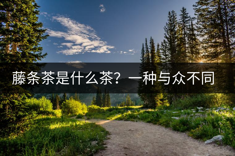 藤條茶是什么茶？一種與眾不同的普洱茶樹(shù)形態(tài)！