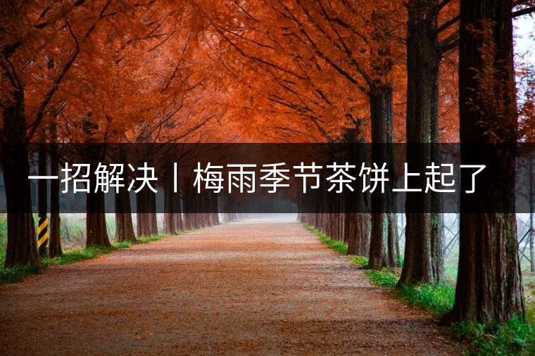 一招解決丨梅雨季節(jié)茶餅上起了白霜白點怎么辦？