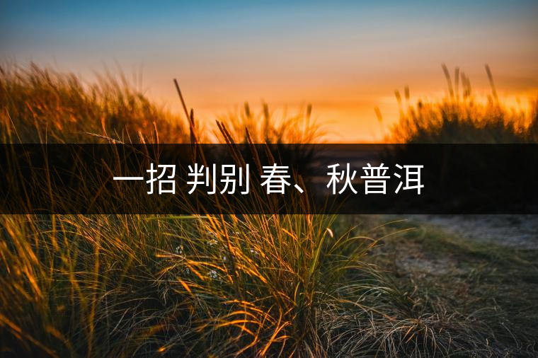 一招 判別 春、秋普洱