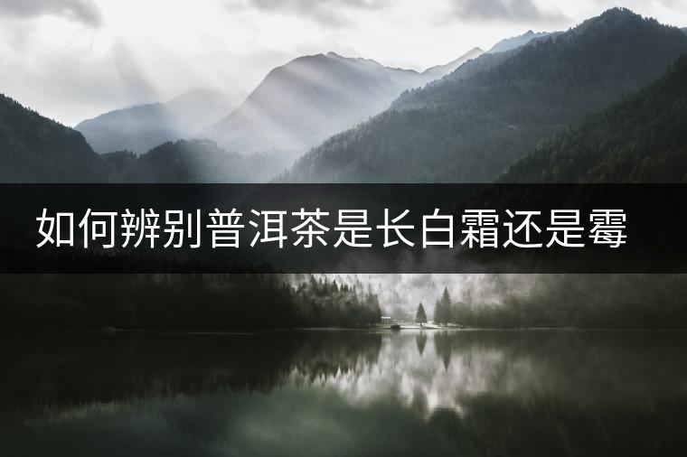 如何辨別普洱茶是長(zhǎng)白霜還是霉變 如何辨別普洱茶是長(zhǎng)白霜還是霉變