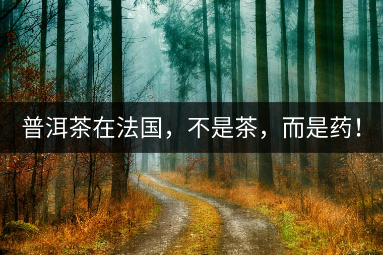 普洱茶在法國，不是茶，而是藥！