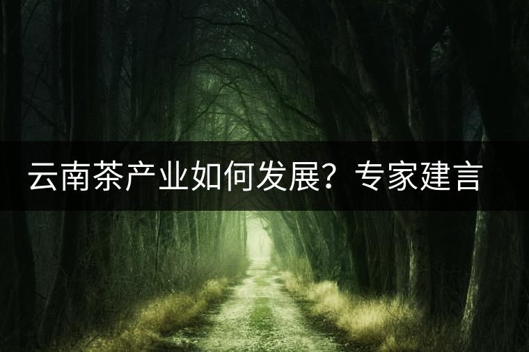 云南茶產(chǎn)業(yè)如何發(fā)展？專家建言：產(chǎn)業(yè)復(fù)興助脫貧