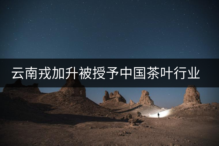 云南戎加升被授予中國(guó)茶葉行業(yè)終身成就獎(jiǎng)