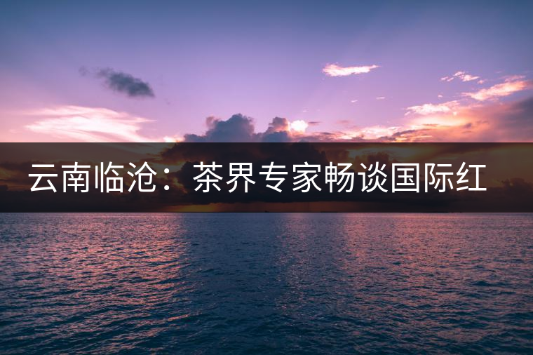 云南臨滄：茶界專家暢談國際紅茶助推紅茶產(chǎn)業(yè)創(chuàng)新發(fā)展