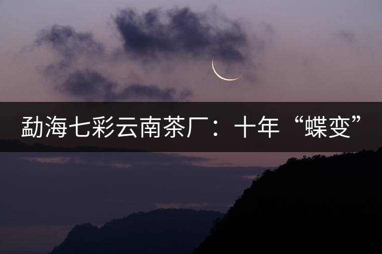 勐海七彩云南茶廠:十年“蝶變” 勐海七彩云南茶廠:十年“蝶變”