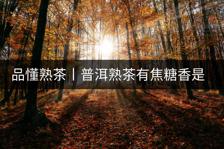 品懂熟茶丨普洱熟茶有焦糖香是好還是不好的表現(xiàn)？