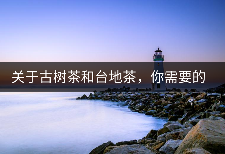 關(guān)于古樹(shù)茶和臺(tái)地茶，你需要的知識(shí)全在這里了