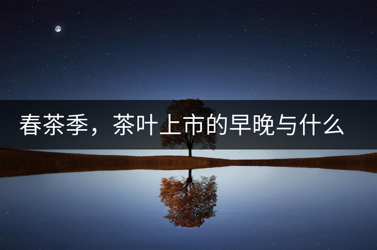 春茶季，茶葉上市的早晚與什么有關(guān)