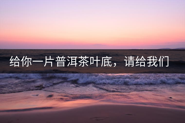 給你一片普洱茶葉底，請給我們聊聊它的生態(tài)和樹齡