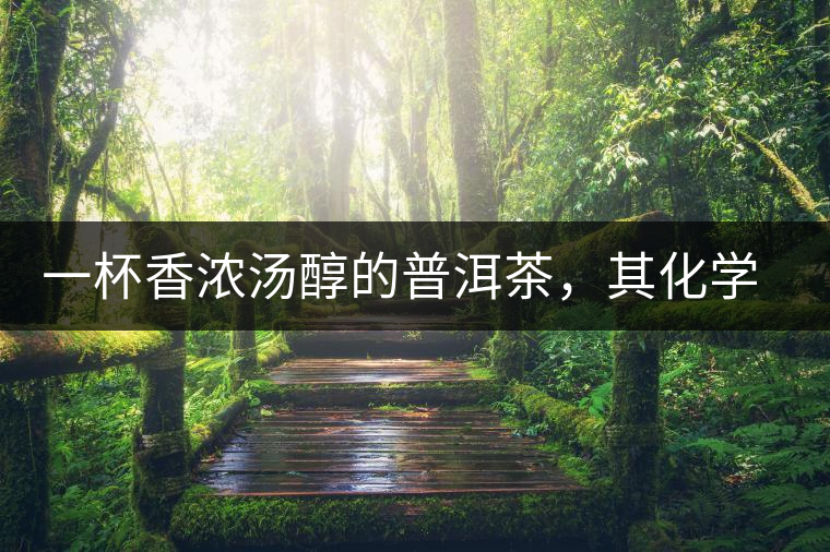 一杯香濃湯醇的普洱茶，其化學成分是怎樣的？