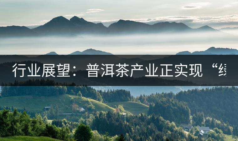 行業(yè)展望：普洱茶產業(yè)正實現(xiàn)“綠色崛起”