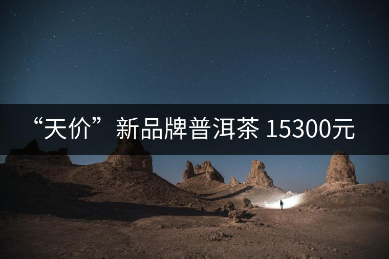 “天價”新品牌普洱茶 15300元/餅！