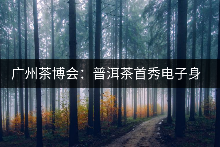 廣州茶博會(huì):普洱茶首秀電子身份證 廣州茶博會(huì):普洱茶首秀電子身份證