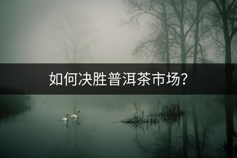 如何決勝普洱茶市場(chǎng)？