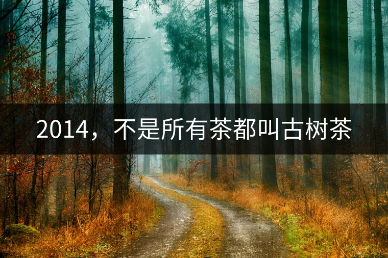 2014，不是所有茶都叫古樹茶