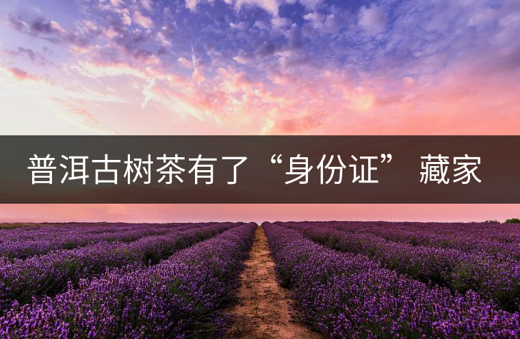 普洱古樹(shù)茶有了“身份證” 藏家投資更具保障