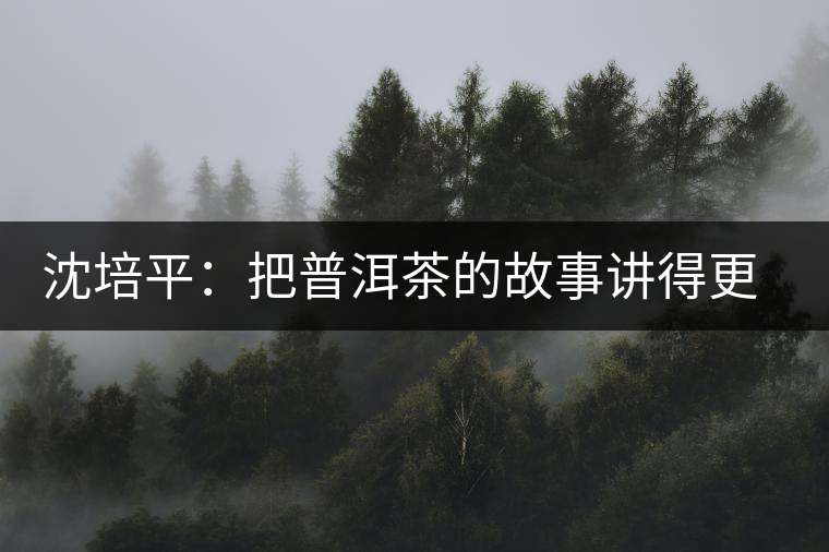 沈培平：把普洱茶的故事講得更精彩