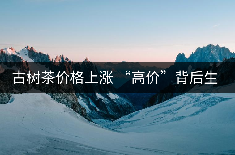 古樹茶價格上漲 “高價”背后生態(tài)環(huán)境令人擔憂