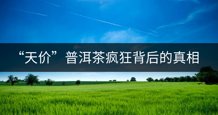 “天價(jià)”普洱茶瘋狂背后的真相 “天價(jià)”普洱茶瘋狂背后的真相