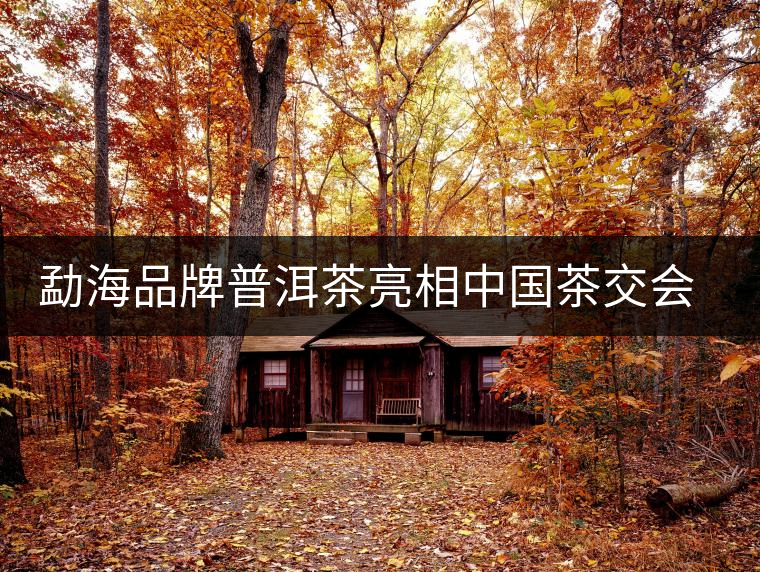 勐海品牌普洱茶亮相中國茶交會(huì) 百余茶企參展 勐海品牌普洱茶亮相中國茶交會(huì) 百余茶企參展