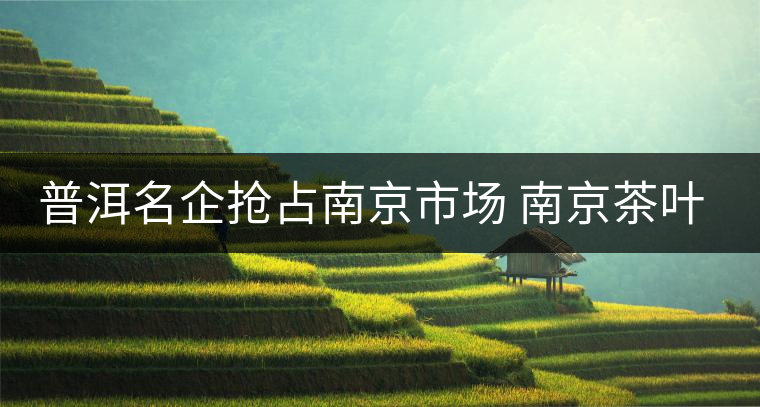 普洱名企搶占南京市場(chǎng) 南京茶葉消費(fèi)日趨多元化