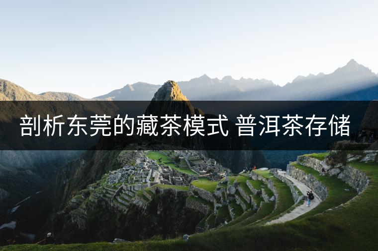 剖析東莞的藏茶模式 普洱茶存儲方法的三階段 剖析東莞的藏茶模式 普洱茶存儲方法的三階段