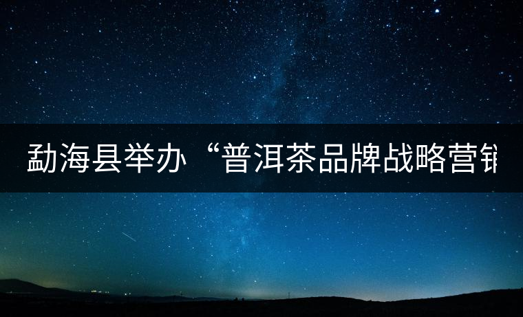 勐?？h舉辦“普洱茶品牌戰(zhàn)略營銷專題講座”
