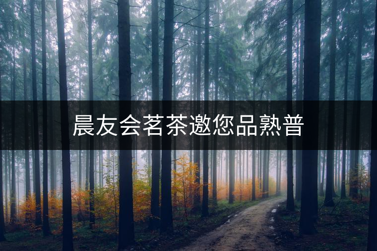 晨友會(huì)茗茶邀您品熟普