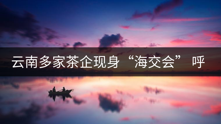 云南多家茶企現(xiàn)身“海交會” 呼吁普洱茶投資應(yīng)理性 云南多家茶企現(xiàn)身“海交會” 呼吁普洱茶投資應(yīng)理性