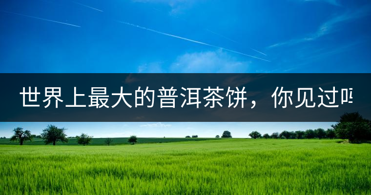 世界上最大的普洱茶餅，你見過嗎？