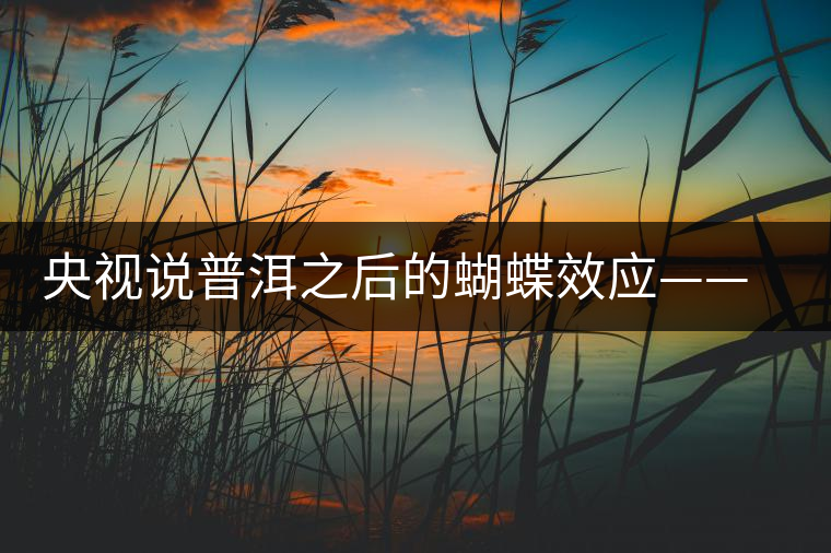 央視說普洱之后的蝴蝶效應(yīng)——過度開采會(huì)出現(xiàn)“死循環(huán)”？