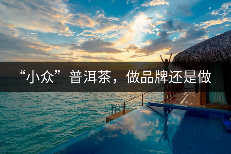 “小眾”普洱茶，做品牌還是做圈子？