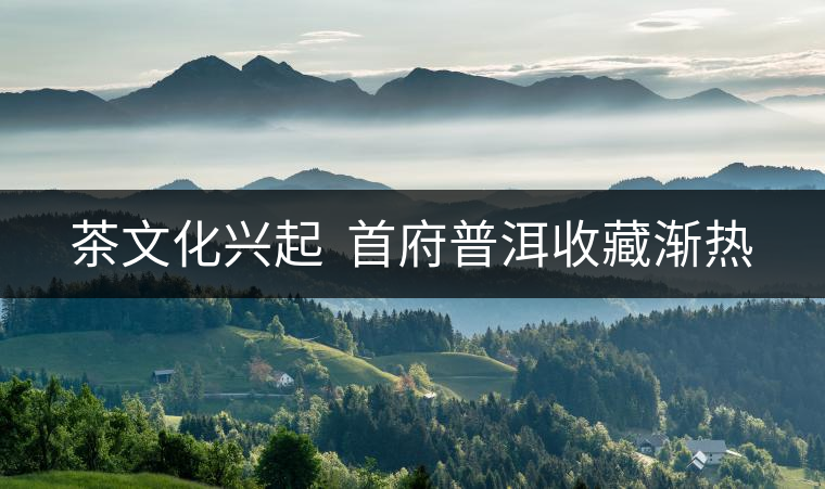 茶文化興起  首府普洱收藏漸熱